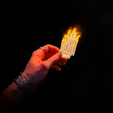 Обложка: Дипинс - Письмо