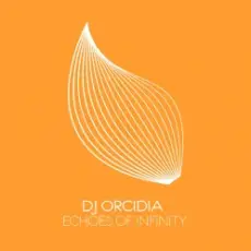 Обложка: DJ Orcidia - Echoes Of Infinity (Extended Mix)