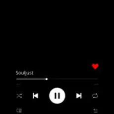 Обложка: Souljust - Не віддам