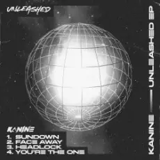 Обложка: Kanine feat. A Little Sound - Face Away