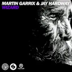 Обложка: Martin Garrix & Jay Hardway - Wizard (Original Mix)