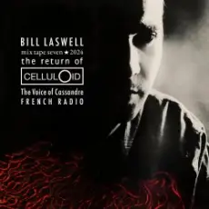 Обложка: Bill Laswell - Beyond the Zero