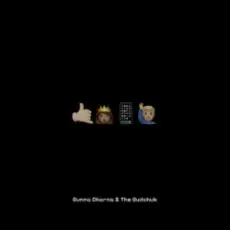 Обложка: Gunna Chorna & The Budchuk - Номерок