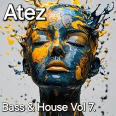 Обложка: Atez - Bass House Vol7.