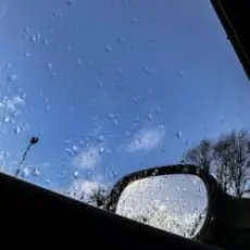 Обложка: In Strict Confidence - Herz