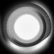 Обложка: Disclosure - Moonlight