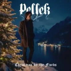 Обложка: PELLEK – Twelve days of christmas