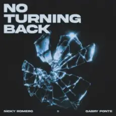 Обложка: Nicky Romero & Gabry Ponte - No Turning Back