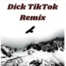 Обложка: unknown - Тык дык тыг дык шабаман Байден Байден Байден (tik tok)