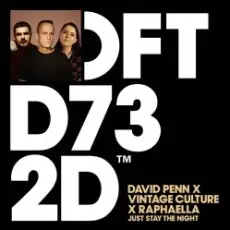 Обложка: David Penn & Raphaella & Vintage Culture – Just Stay The Night