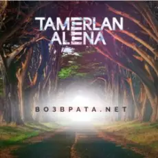 Обложка: Тамерлан и Алёна - Возврата. NET