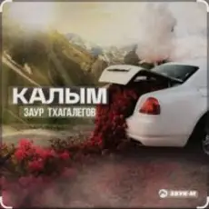 Обложка: Заур Тхагалегов - Калым
