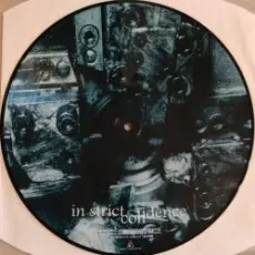 Обложка: Aghast View - Truthlike (Found Amplitude Remix By In Strict Confidence)