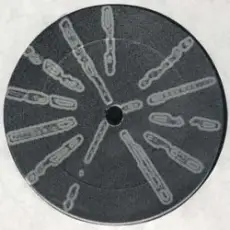 Обложка: Basic Channel - Phylyps trak II