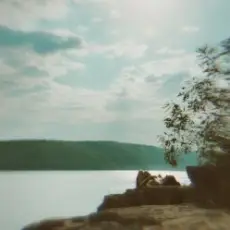 Обложка: Sonhe - Бакота