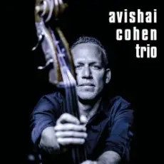Обложка: Avishai Cohen - Shuffle