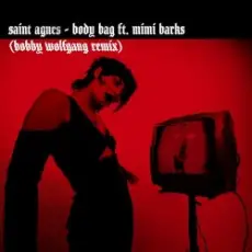 Обложка: Saint Agnes feat. Mimi Barks - Body Bag (Bobby Wolfgang Remix)