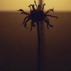 Обложка: Neytan - Welcome to my mind