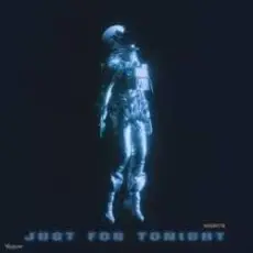 Обложка: Velchetto – Just for Tonight