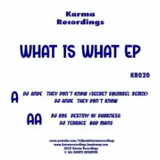 Обложка: Dj Terrace – Bad Mans