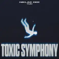 Обложка: Niklas Dee & TUN - Toxic Symphony