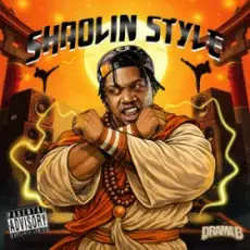 Обложка: Drama B - Shaolin Style (Prod. FlipMode)