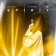 Обложка: WYR GEMI & Kharimov - Spirit