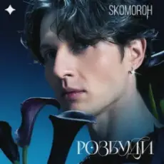 Обложка: SKOMOROH - Розбуди