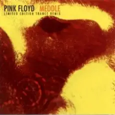Обложка: Pink Floyd & The Orb – One Of These Days