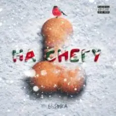 Обложка: Бьянка - На снегу