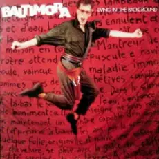 Обложка: Baltimora – Tarzan Boy