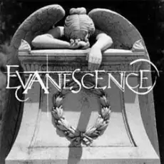 Обложка: Evanescence - What You Want