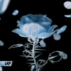 Обложка: Synergy & RIENK - Stay