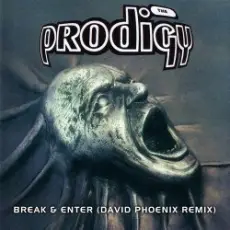 Обложка: The Prodigy - Skylined