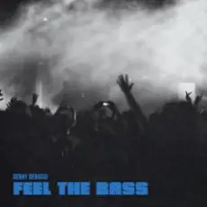 Обложка: Benny Benassi - Feel The Bass