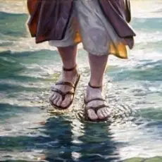 Обложка: Наутилус Помпилиус - Прогулки по воде