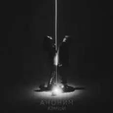 Обложка: #2Маши - Аноним