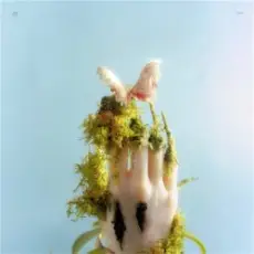 Обложка: Liu Lian - Drop It High