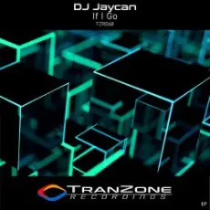 Обложка: DJ Jaycan – If I Go (Instrumental Mix)