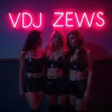 Обложка: VDJ ZEWS – Random Feelings