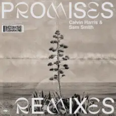 Обложка: Calvin Harris;Sam Smith - Promises (David Guetta Remix)