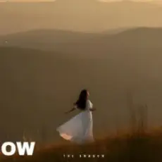 Обложка: The Shadow - The lesson of love