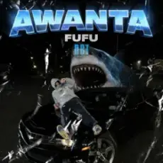 Обложка: FUFU - AWANTA