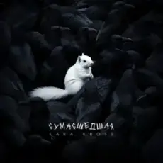 Обложка: KARA KROSS - Сумасшедшая