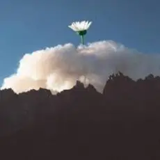 Обложка: 25/17 & Ёлка - Любовь во время чумы