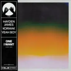 Обложка: Hayden James & Kormak & Yeah Boy - One I Want