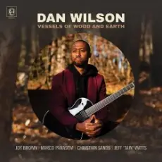 Обложка: Dan Wilson - Bird of Beauty