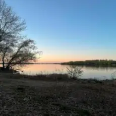 Обложка: ALEKCION - Не та