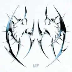 Обложка: Kanine - Feel The Vibration