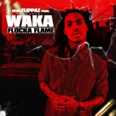 Обложка: Waka Flocka Flame - Introduction Fight